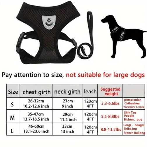 Conjunto de Arnés de Malla de Máximo Confort para Perros - Imagen 2