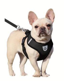 Conjunto de Arnés de Malla de Máximo Confort para Perros