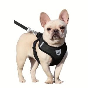 Conjunto de Arnés de Malla de Máximo Confort para Perros